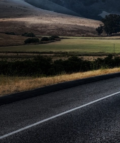 本溪粉象生活注册