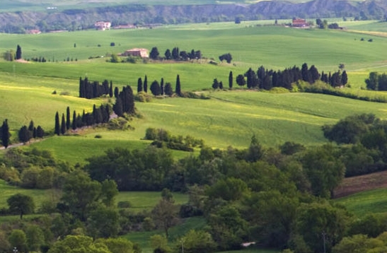 粉象生活如何增加活跃用户