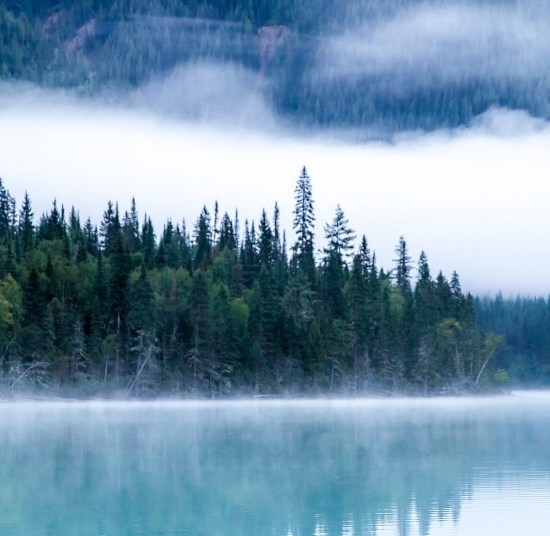 大连粉象生活app粉象生活