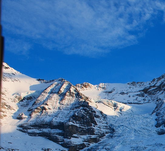 粉象生活能赚到钱吗