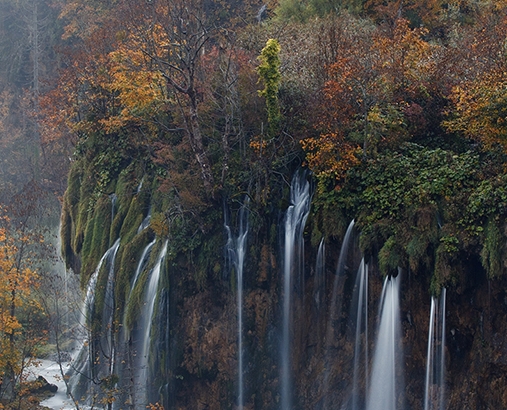 粉象生活怎么注册新号