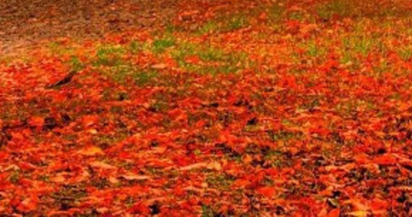 粉的象生活注册