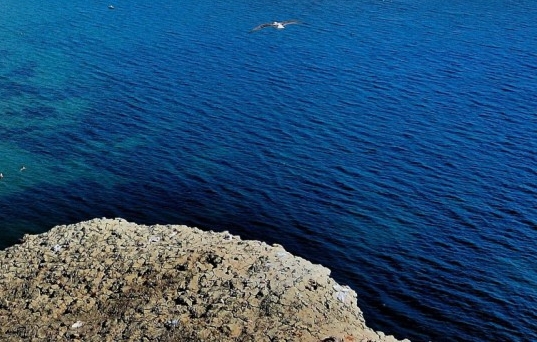 粉象生活品牌是什么