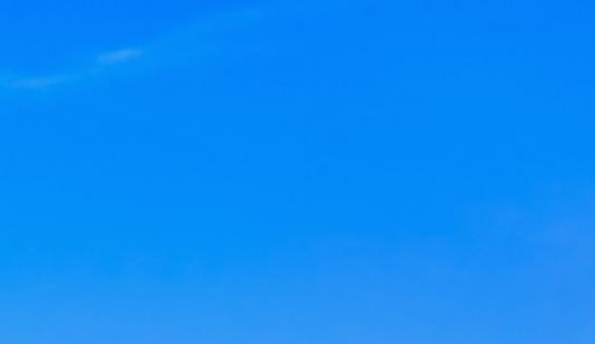 粉象生活怎么不用优惠券了