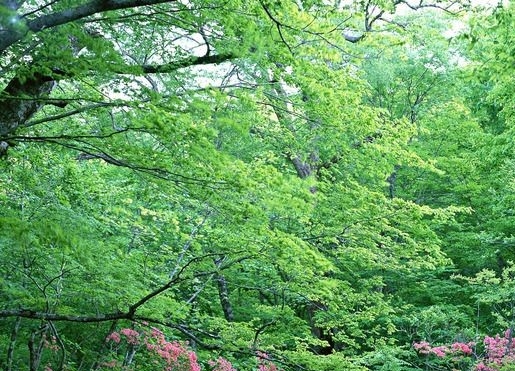 江苏创新粉象生活网站