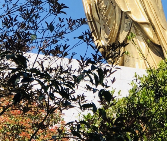 粉象生活软件安全吗