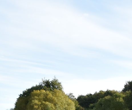 粉象一般人能喝几瓶