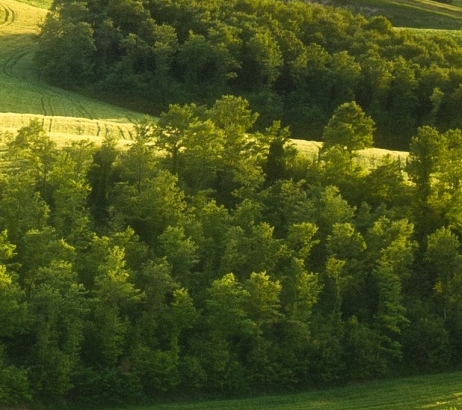 粉象生活能赚到钱吗