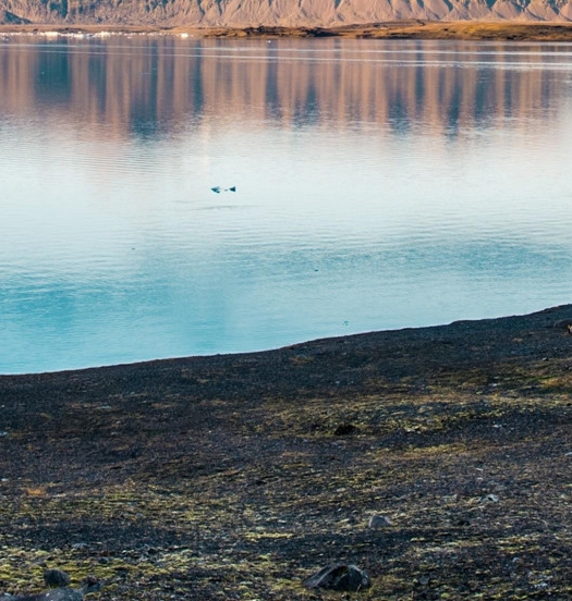 粉象生活用什么登录