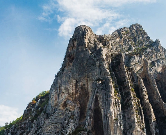 上海粉象生活吧