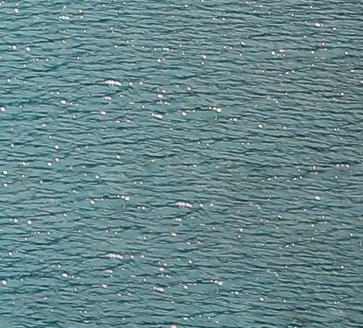 今日头条粉丝怎么来的