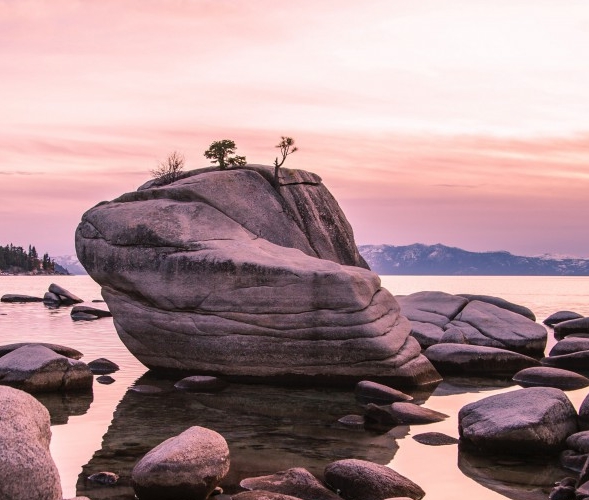 粉象生活邀请码