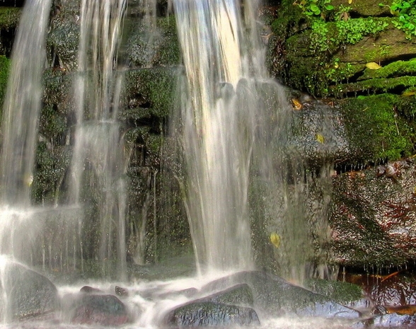 粉象生活粉丝怎么增加