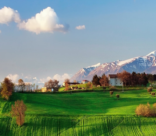 广州粉象生活科技有限公司