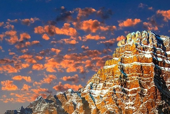 粉象生活建立于什么时候