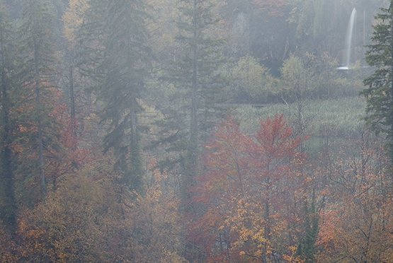 粉象生活哪里看分销商品
