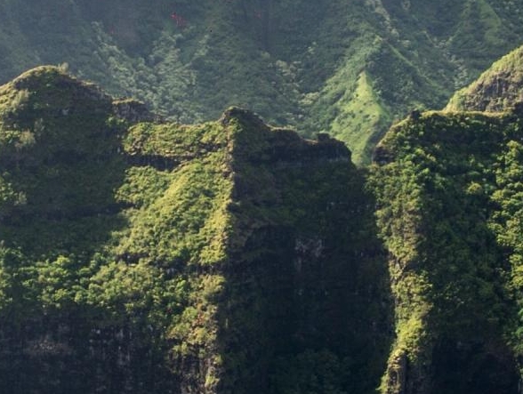 注册粉象生活有风险吗