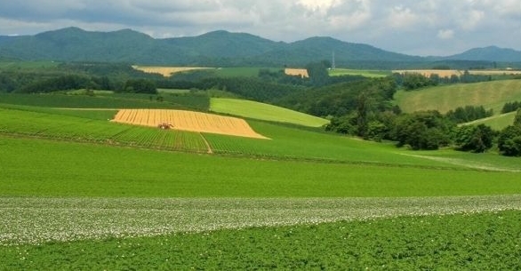 粉象生活的注册商家