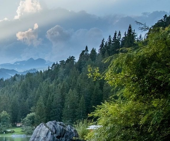 粉象生活官方APP邀请码