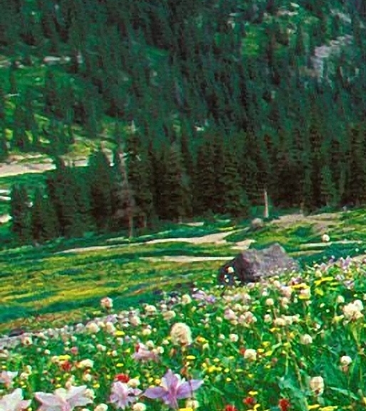 粉象生活注册不了怎么办