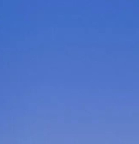 下载粉象生活app