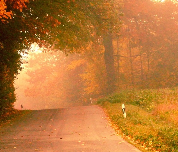 粉象生活模式合法吗