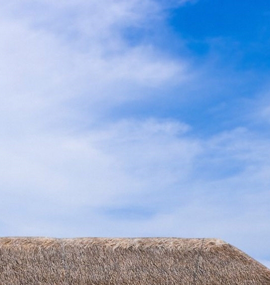 粉象生活下载app