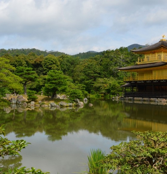 粉象生活怎么赚钱的