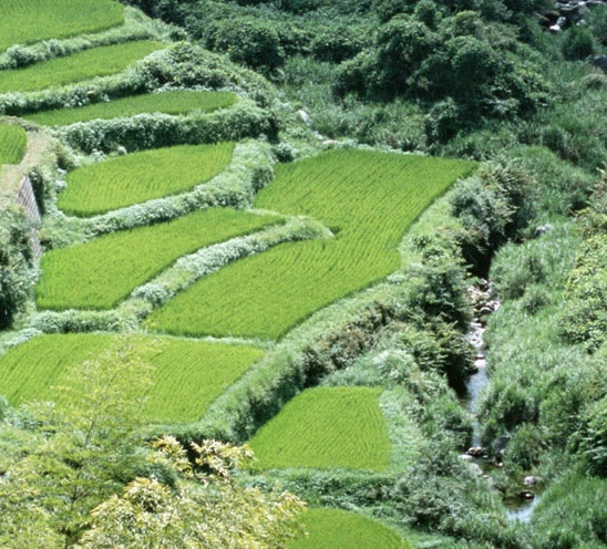 粉象生活需要支付宝登录吗