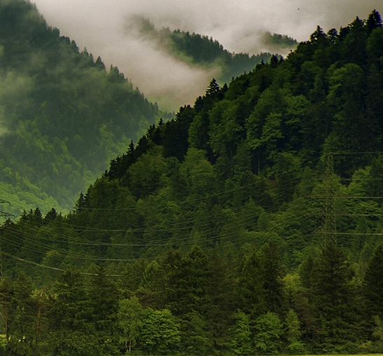 粉象生活到底靠谱吗
