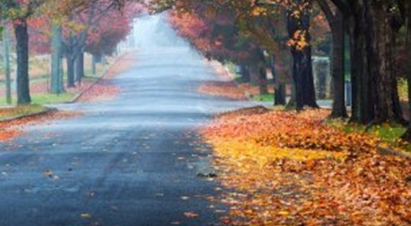 粉象生活怎么做销售