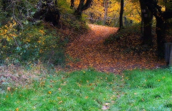 常州粉象生活注册