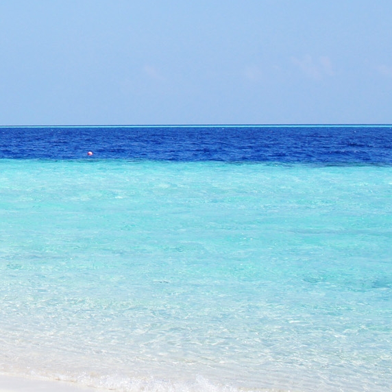 粉象生活 指定邀请码798661