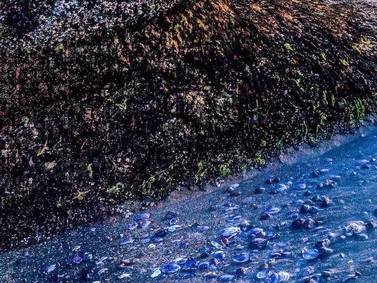 加入粉象生活需要交钱吗