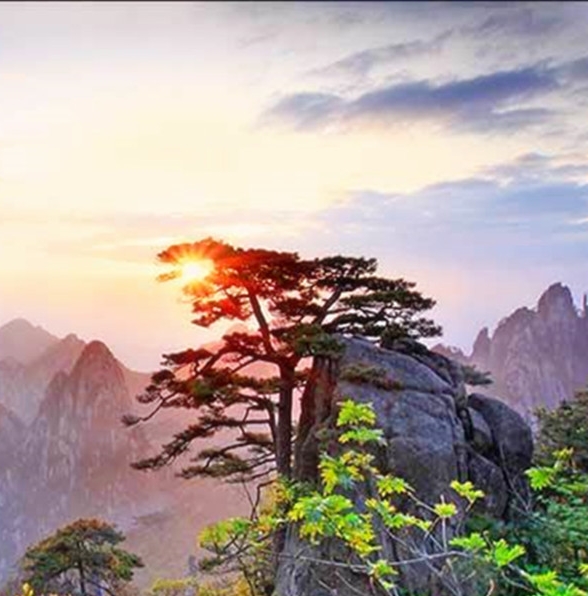 粉象授权淘宝怎么取消