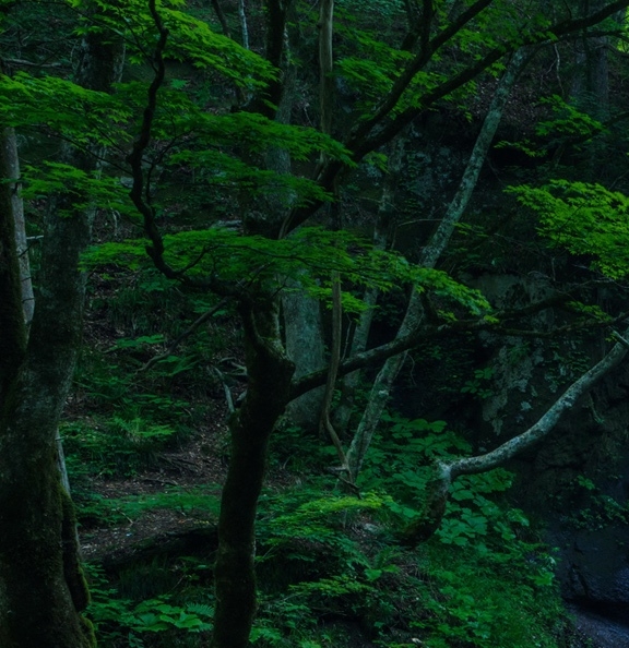 粉象生活佣金图