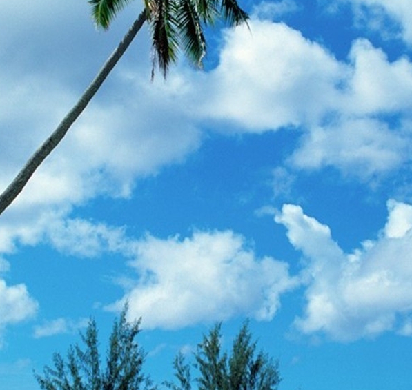 粉象生活邀请码