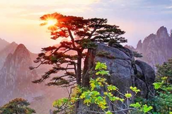 粉象生活怎么推广秘诀