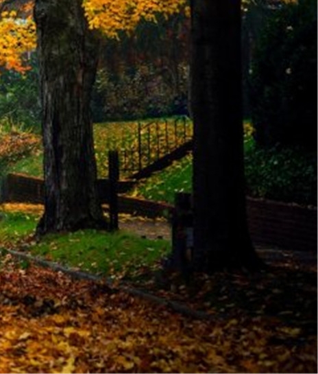 亳州粉象生活代理注册网站