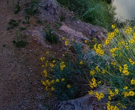 怎么领粉象生活