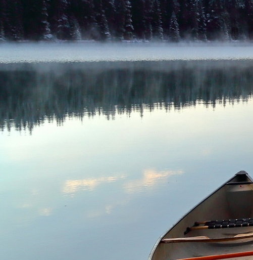 粉象生活手机注册