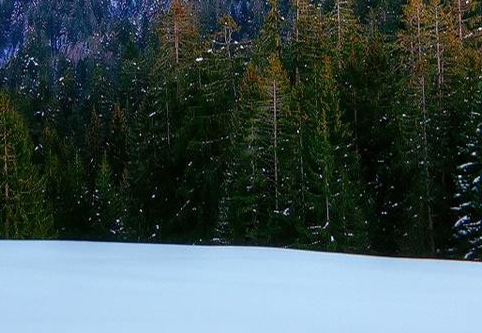 粉象生活粉丝怎么增加