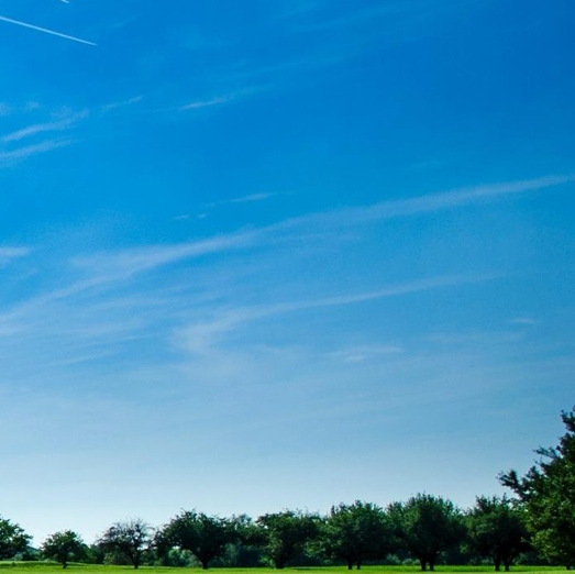 粉象生活被查了