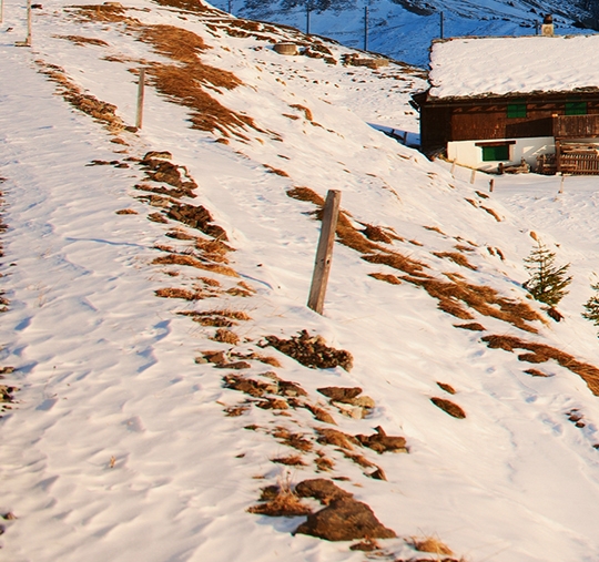 舟山粉象生活推广