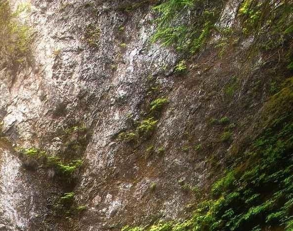 粉象生活邀请码