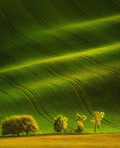 粉象生活怎么赚钱