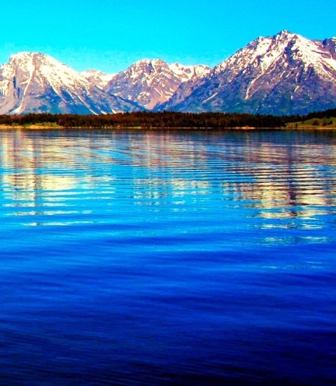 粉象生活能做不