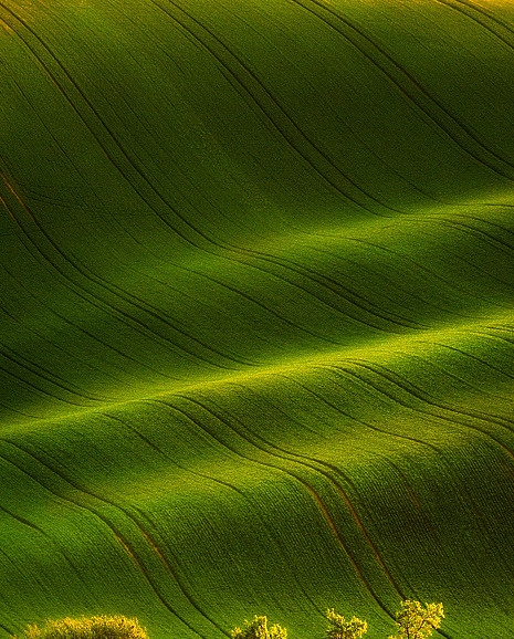 粉象生活里面的信用卡可以办吗