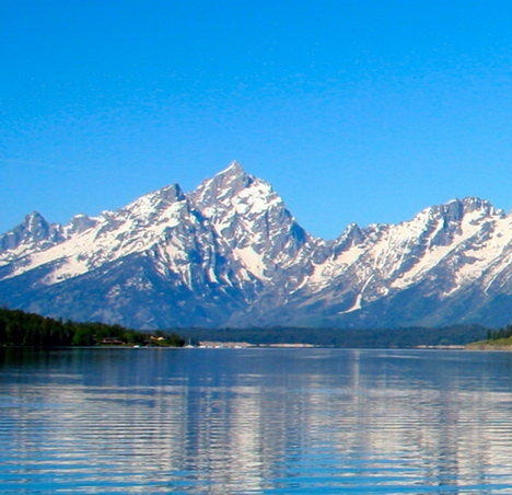 怎么做粉象生活的代理