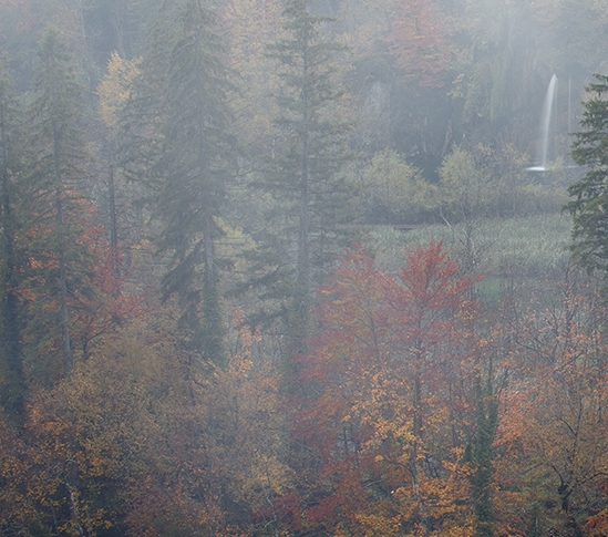 粉象生活瓜分购